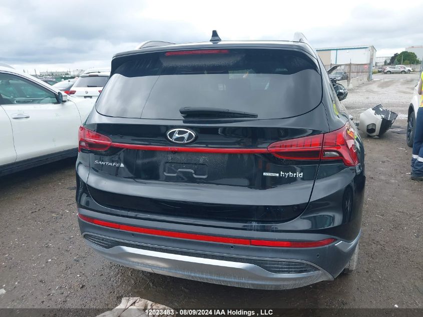 2021 Hyundai Santa Fe Limited VIN: KM8S5DA18MU007801 Lot: 12023483
