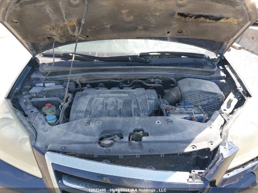 2006 Honda Odyssey VIN: 5FNRL38616B507704 Lot: 12023495