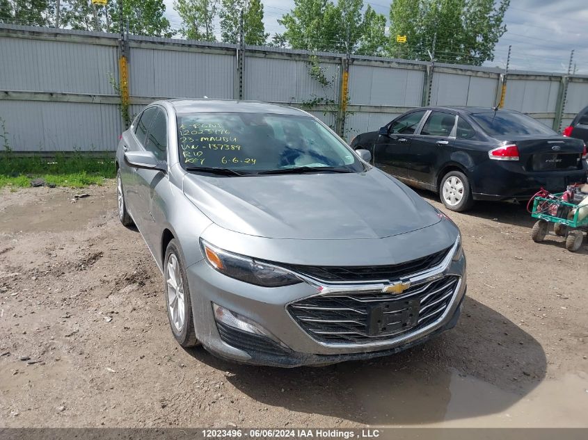 2023 Chevrolet Malibu VIN: 1G1ZD5ST2PF137389 Lot: 12023496