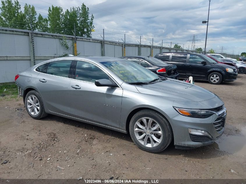 2023 Chevrolet Malibu VIN: 1G1ZD5ST2PF137389 Lot: 12023496