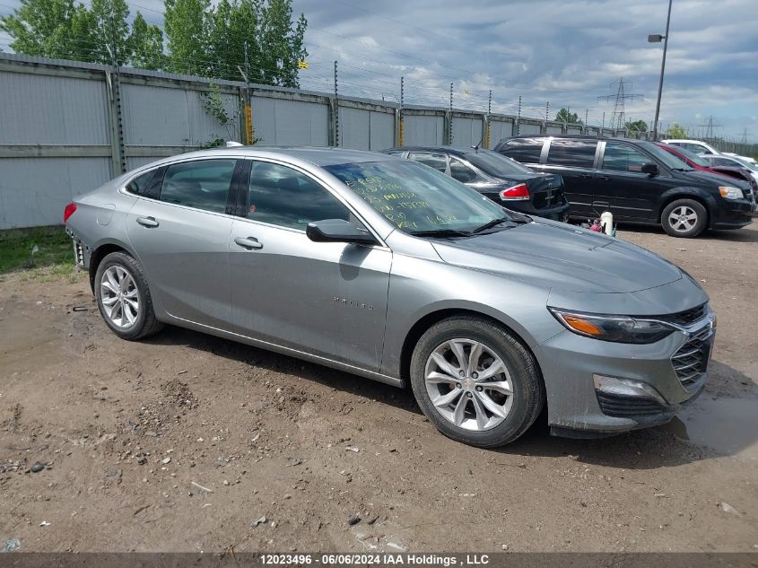 2023 Chevrolet Malibu VIN: 1G1ZD5ST2PF137389 Lot: 12023496