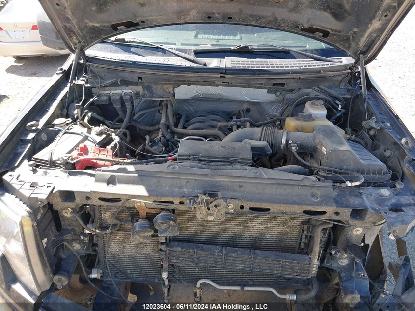 2013 Ford F150 Supercrew VIN: 1FTFW1EF0DFD58620 Lot: 12023604