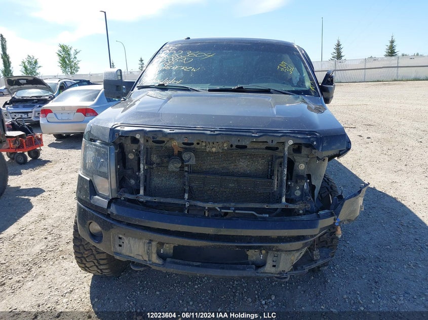 2013 Ford F150 Supercrew VIN: 1FTFW1EF0DFD58620 Lot: 12023604