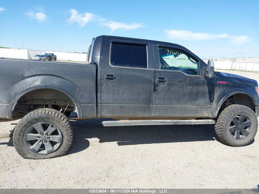 2013 Ford F150 Supercrew VIN: 1FTFW1EF0DFD58620 Lot: 12023604