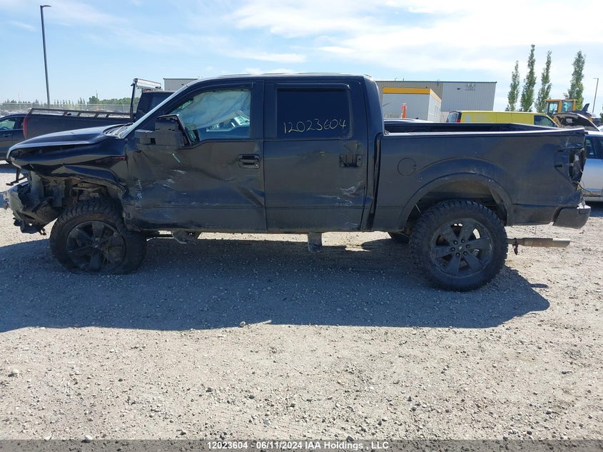 2013 Ford F150 Supercrew VIN: 1FTFW1EF0DFD58620 Lot: 12023604