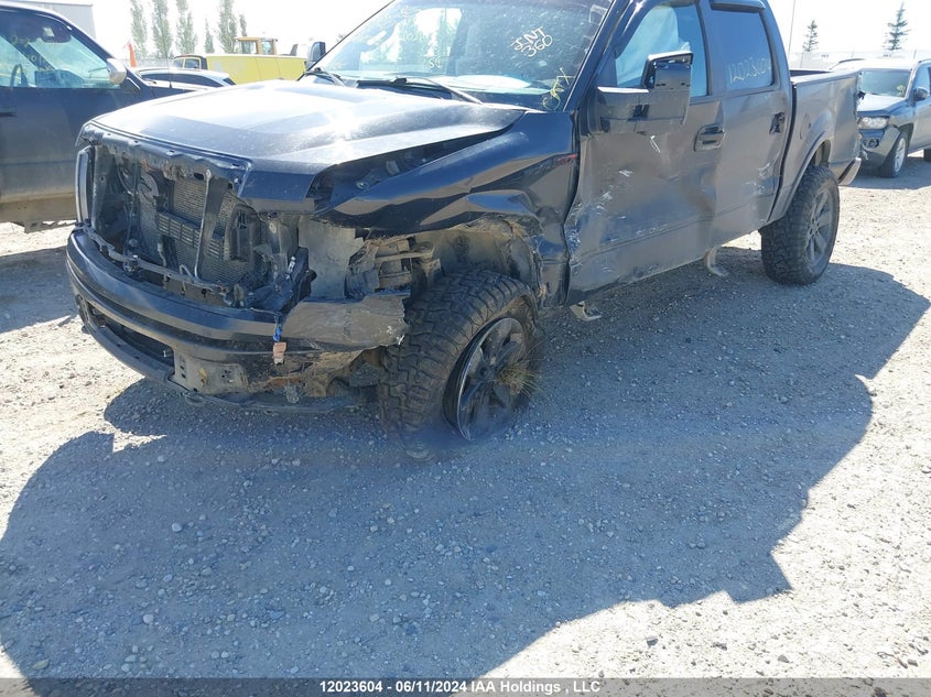 2013 Ford F150 Supercrew VIN: 1FTFW1EF0DFD58620 Lot: 12023604