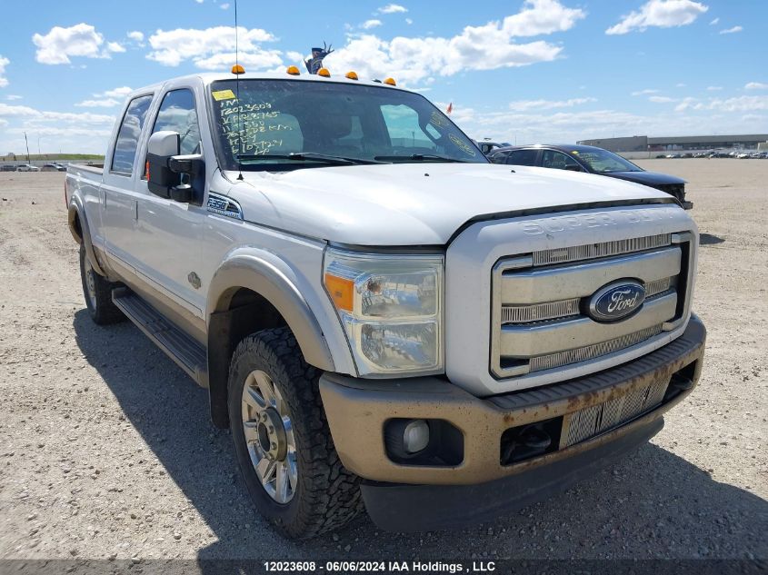 2011 Ford F350 Super Duty VIN: 1FT8W3BTXBEA88765 Lot: 12023608