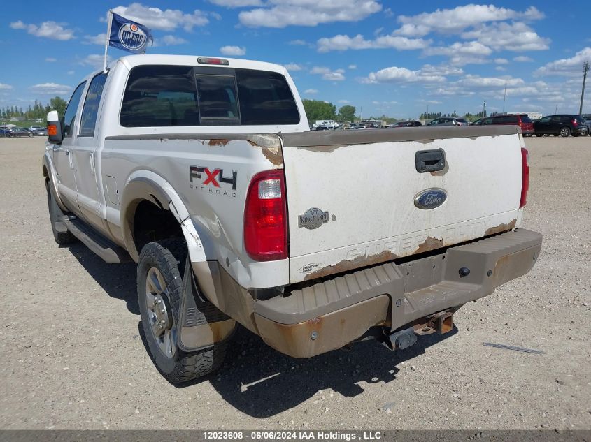 2011 Ford F350 Super Duty VIN: 1FT8W3BTXBEA88765 Lot: 12023608