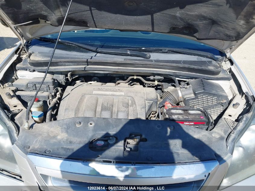 2007 Honda Odyssey Ex-L VIN: 5FNRL38737B503311 Lot: 12023614