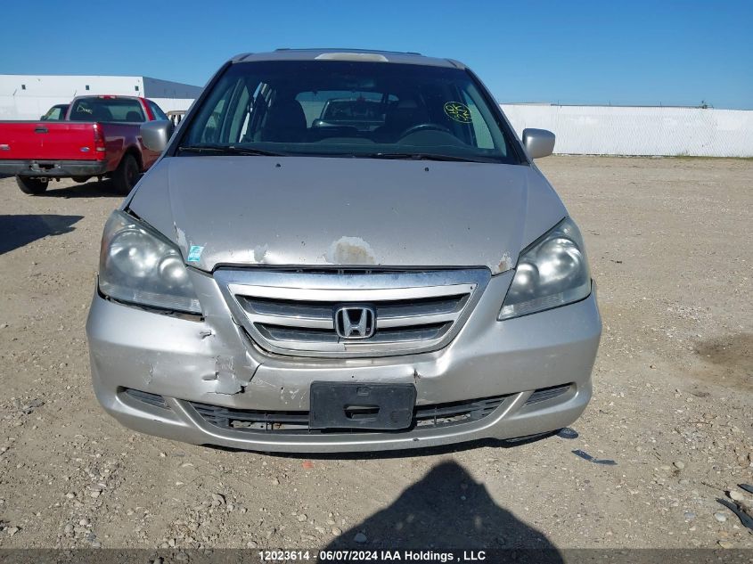 2007 Honda Odyssey Ex-L VIN: 5FNRL38737B503311 Lot: 12023614