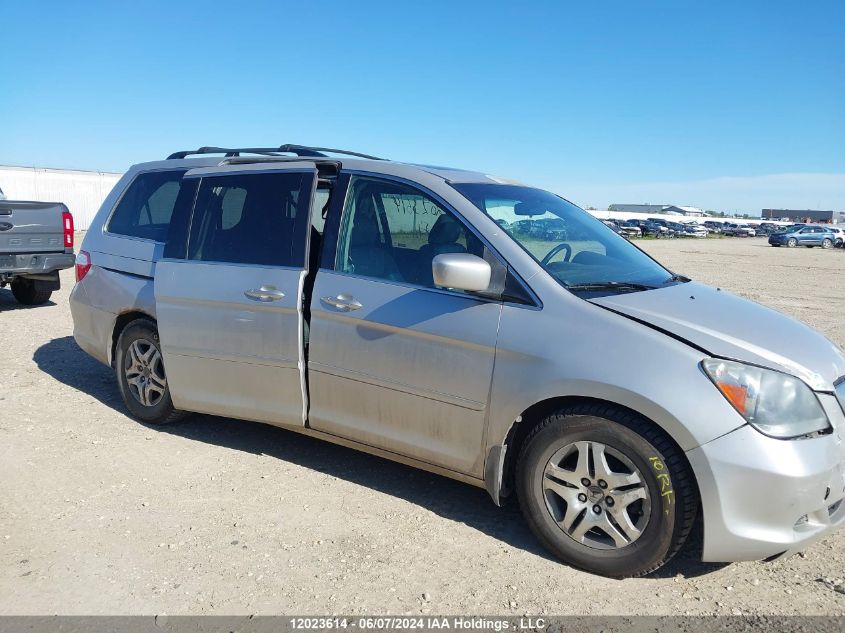 2007 Honda Odyssey Ex-L VIN: 5FNRL38737B503311 Lot: 12023614