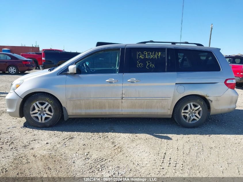 2007 Honda Odyssey Ex-L VIN: 5FNRL38737B503311 Lot: 12023614