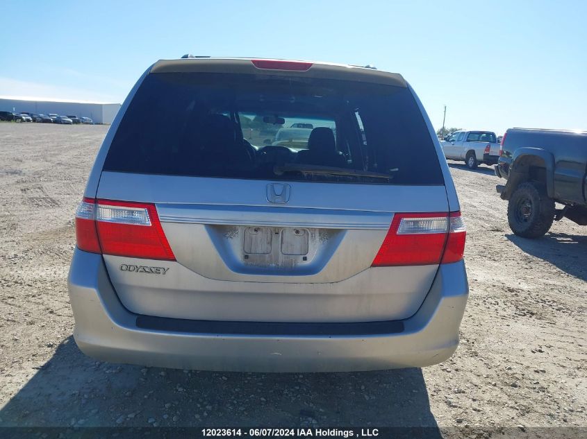 2007 Honda Odyssey Ex-L VIN: 5FNRL38737B503311 Lot: 12023614