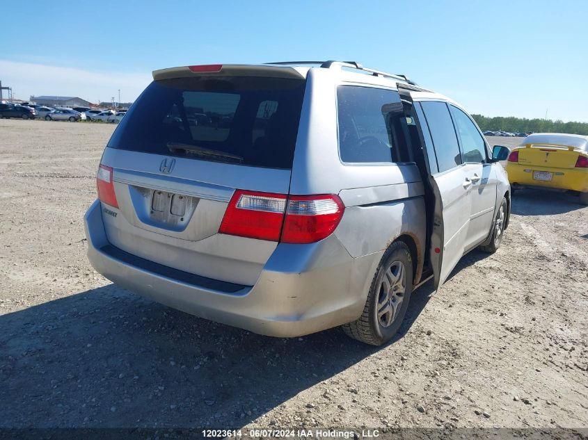 2007 Honda Odyssey Ex-L VIN: 5FNRL38737B503311 Lot: 12023614