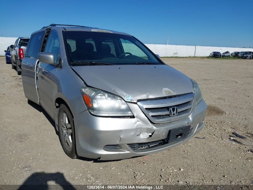 2007 Honda Odyssey Ex-L VIN: 5FNRL38737B503311 Lot: 12023614