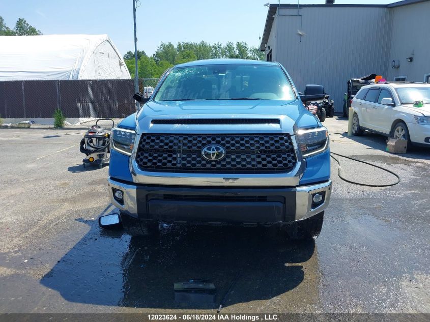 2020 Toyota Tundra Double Cab Sr/Sr5/Double Cab Trd Pro VIN: 5TFUY5F13LX921342 Lot: 12023624