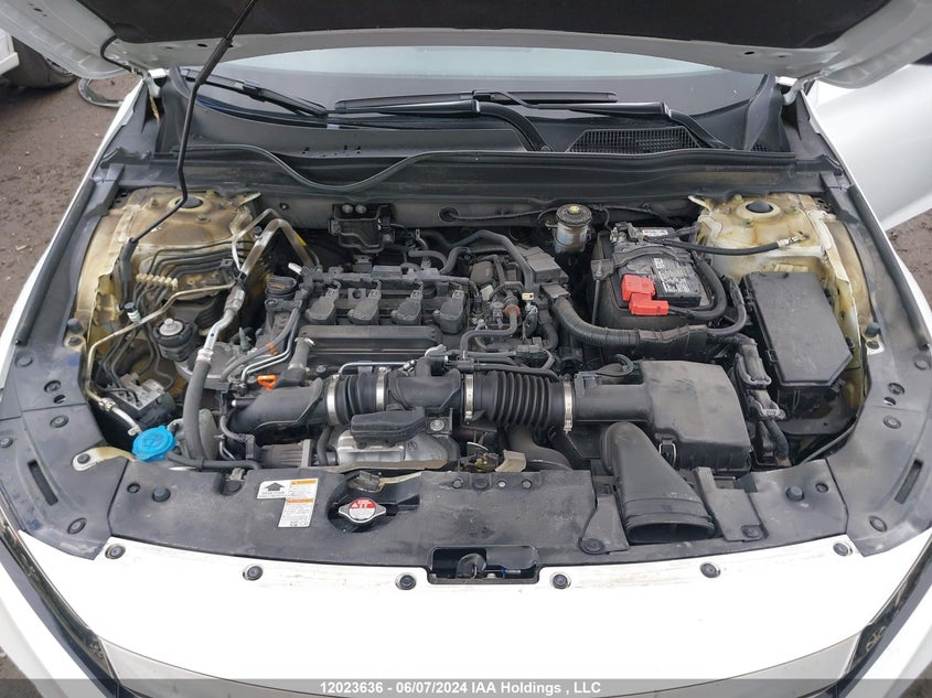 2022 Honda Accord Sedan VIN: 1HGCV1F35NA800219 Lot: 12023636