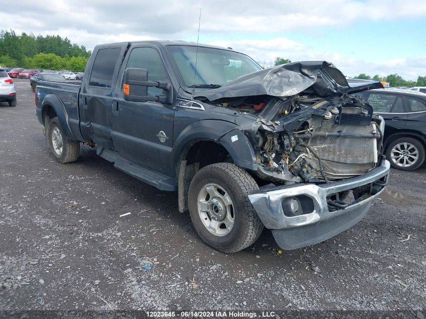 2015 Ford F-250 Xlt VIN: 1FT7W2BT5FEB65568 Lot: 12023645