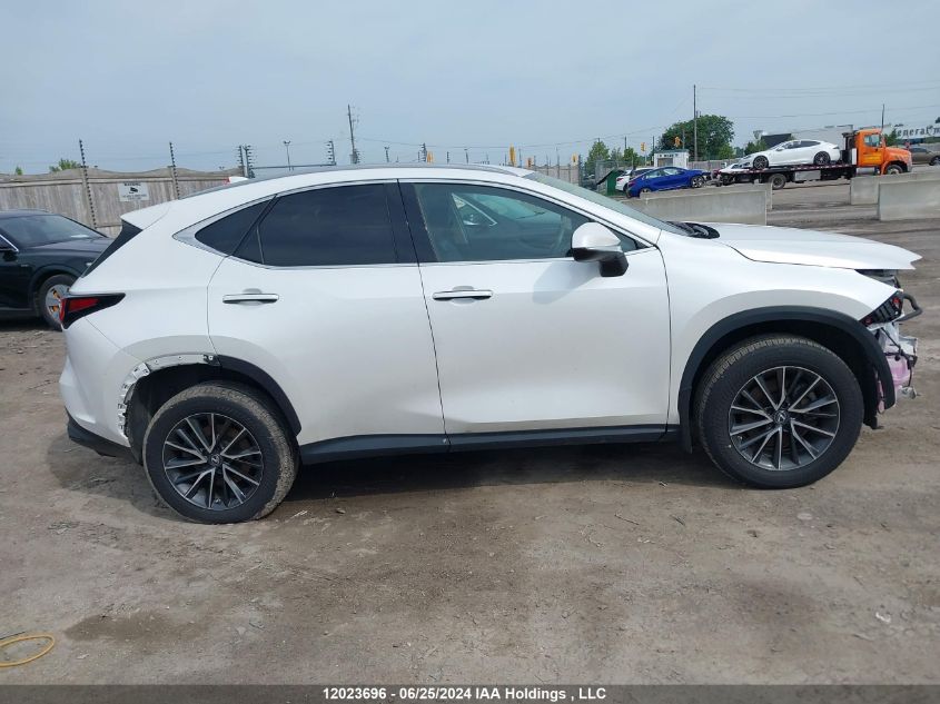 2022 Lexus Nx 350H VIN: 2T2AKCEZ8NC001560 Lot: 12023696