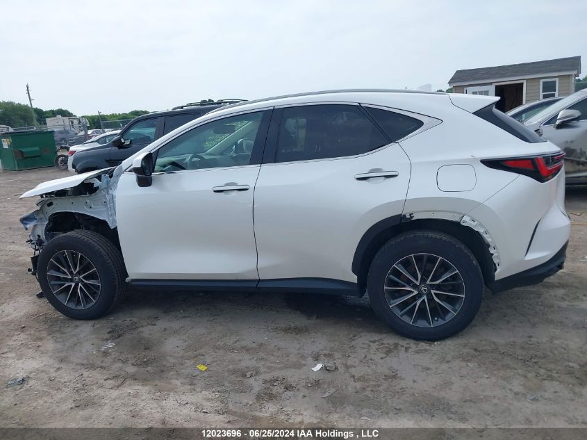 2022 Lexus Nx 350H VIN: 2T2AKCEZ8NC001560 Lot: 12023696