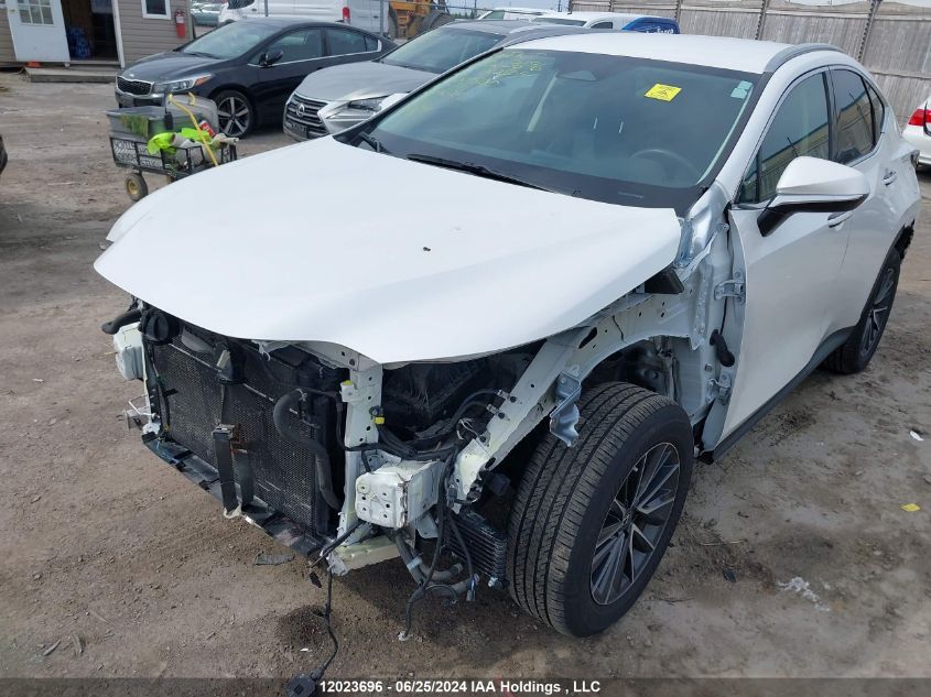 2022 Lexus Nx 350H VIN: 2T2AKCEZ8NC001560 Lot: 12023696