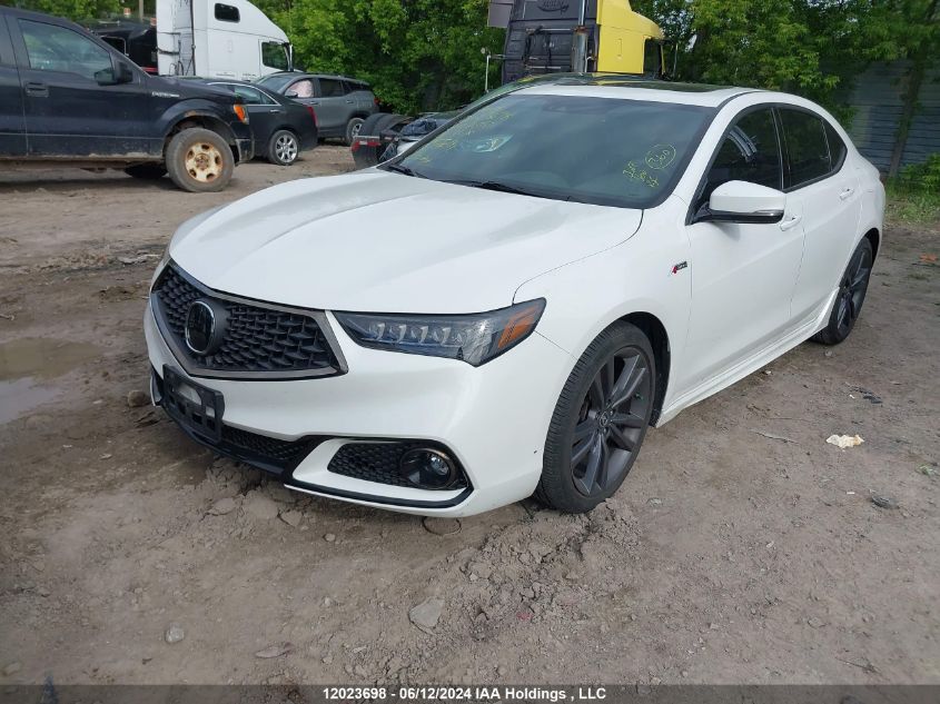 2018 Acura Tlx VIN: 19UUB1F68JA801205 Lot: 12023698