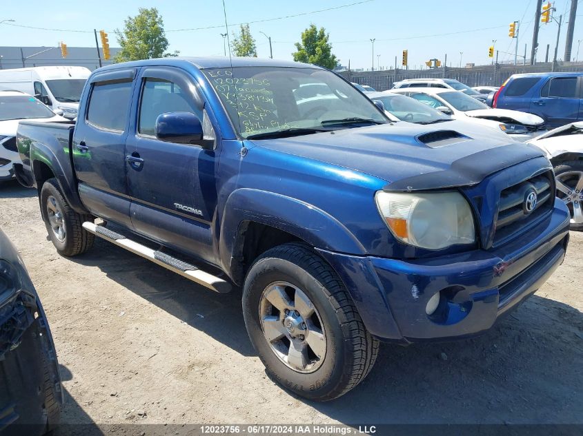 2007 Toyota Tacoma Double Cab VIN: 5TELU42N67Z338434 Lot: 12023756