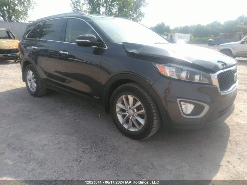 2017 Kia Sorento VIN: 5XYPGDA16HG305467 Lot: 12023841