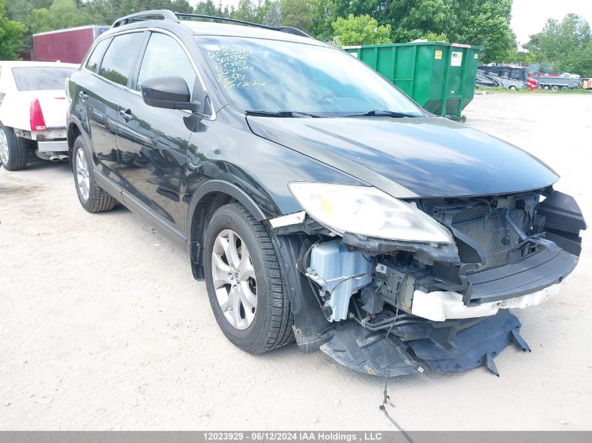 2011 Mazda Cx-9 VIN: JM3TB3CA1B0301965 Lot: 12023929