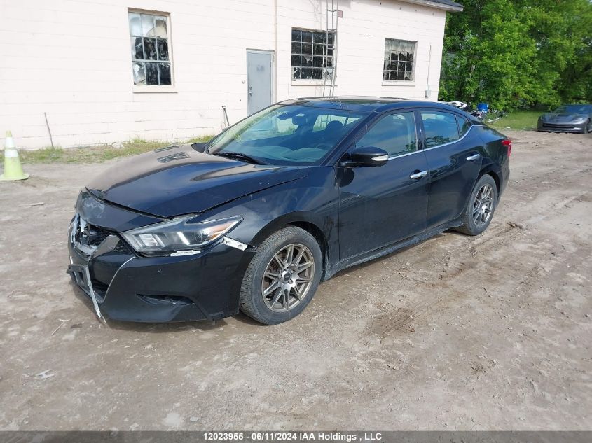 2016 Nissan Maxima VIN: 1N4AA6AP5GC440696 Lot: 12023955