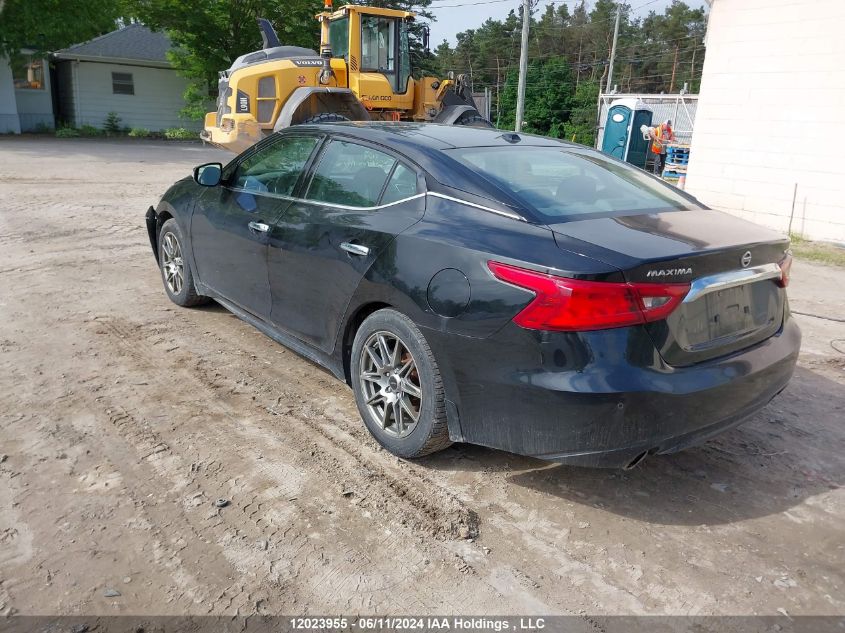 2016 Nissan Maxima VIN: 1N4AA6AP5GC440696 Lot: 12023955