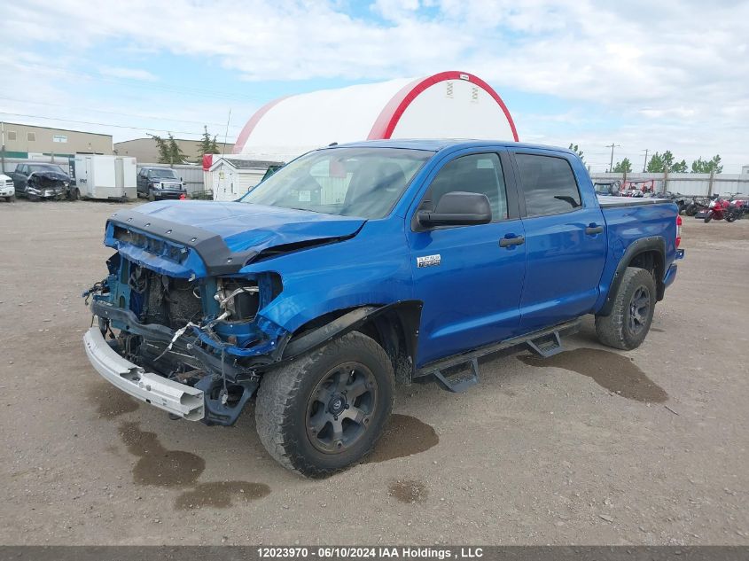 2016 Toyota Tundra Crewmax 1794/Platinum VIN: 5TFAY5F17GX573800 Lot: 12023970