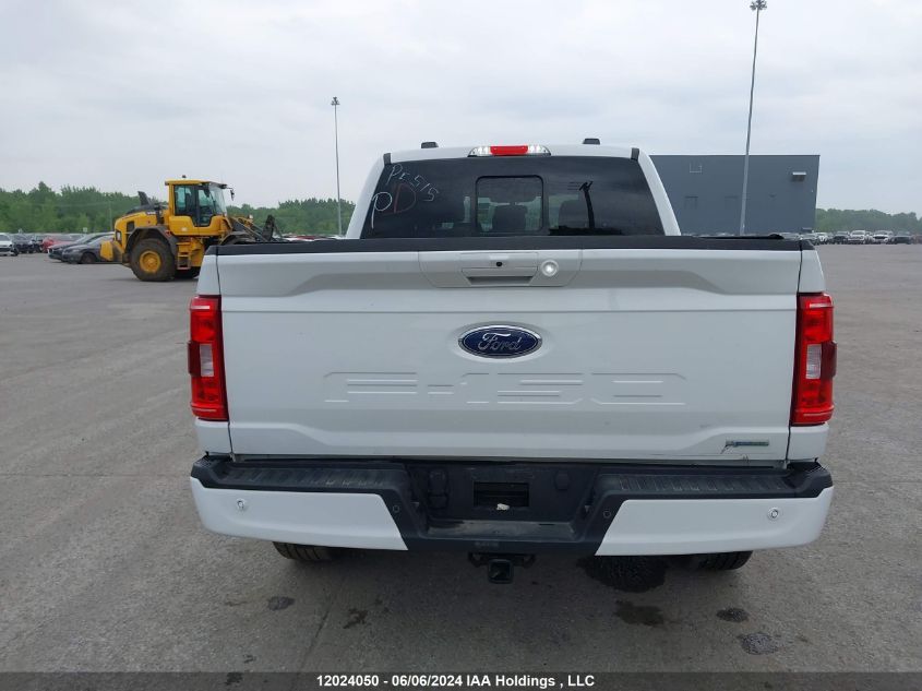 2023 Ford F-150 Xlt VIN: 1FTEW1EPXPKF52586 Lot: 12024050