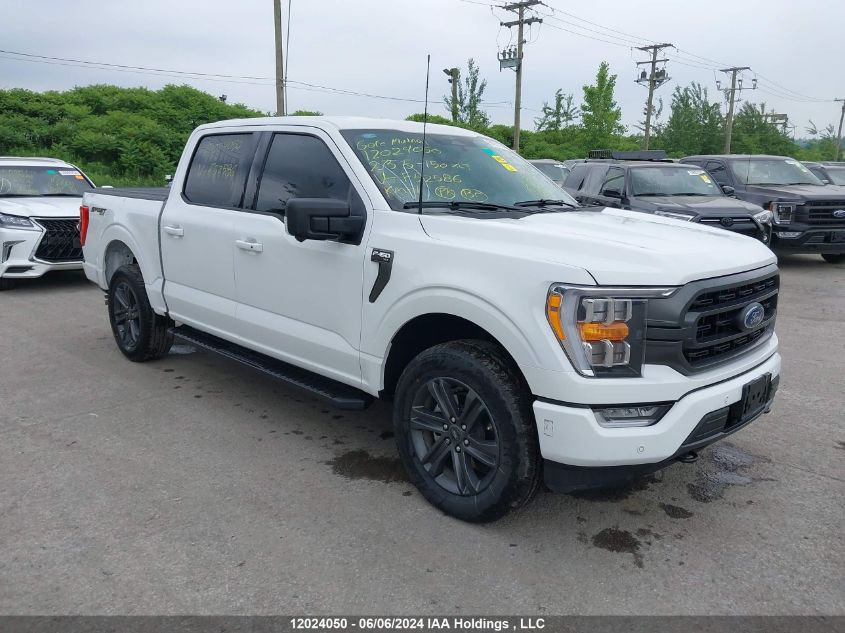 2023 Ford F-150 Xlt VIN: 1FTEW1EPXPKF52586 Lot: 12024050