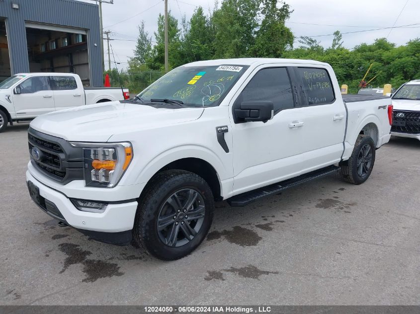 2023 Ford F-150 Xlt VIN: 1FTEW1EPXPKF52586 Lot: 12024050