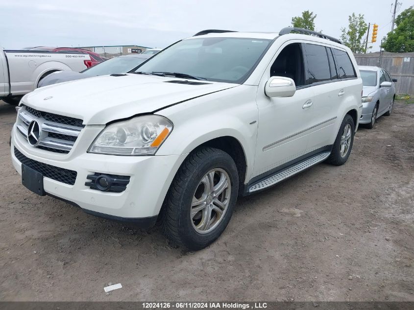 2009 Mercedes-Benz Gl-Class VIN: 4JGBF25E79A491788 Lot: 12024126