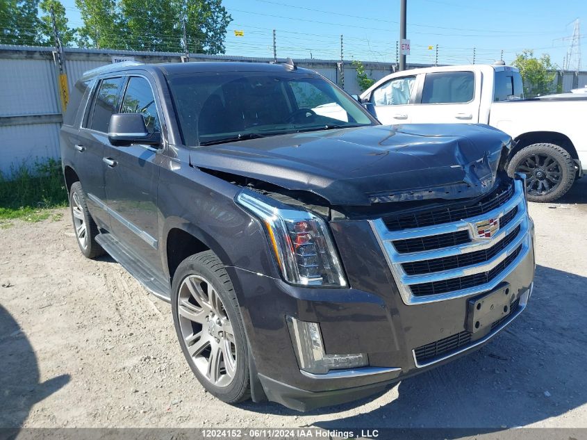 2016 Cadillac Escalade VIN: 1GYS4CKJ3GR364742 Lot: 12024152