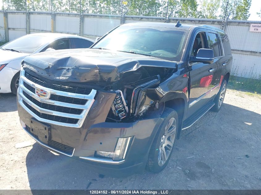 2016 Cadillac Escalade VIN: 1GYS4CKJ3GR364742 Lot: 12024152