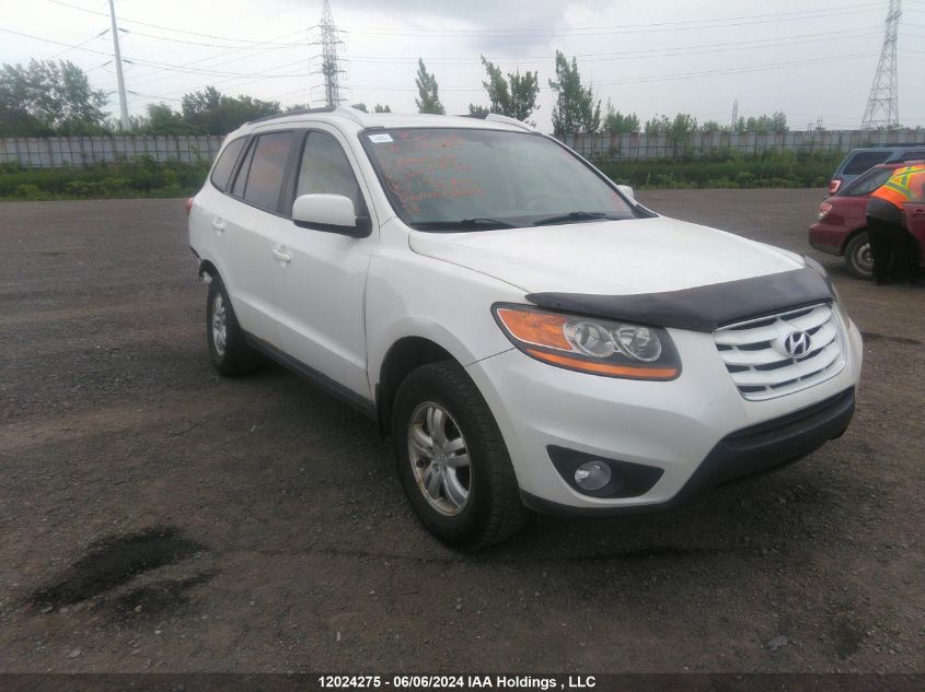 2010 Hyundai Santa Fe VIN: 5NMSG4AG5AH354492 Lot: 12024275