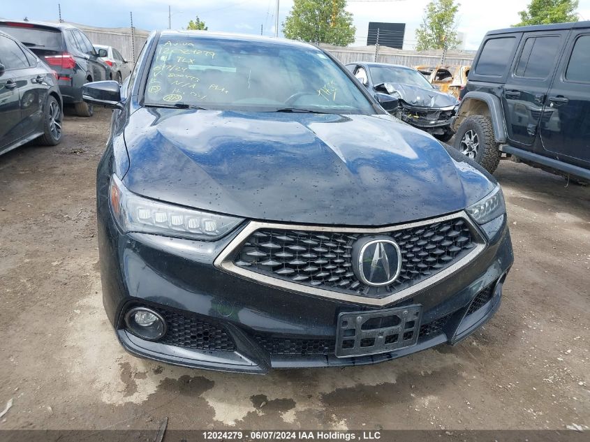 2019 Acura Tlx VIN: 19UUB3F6XKA800473 Lot: 12024279