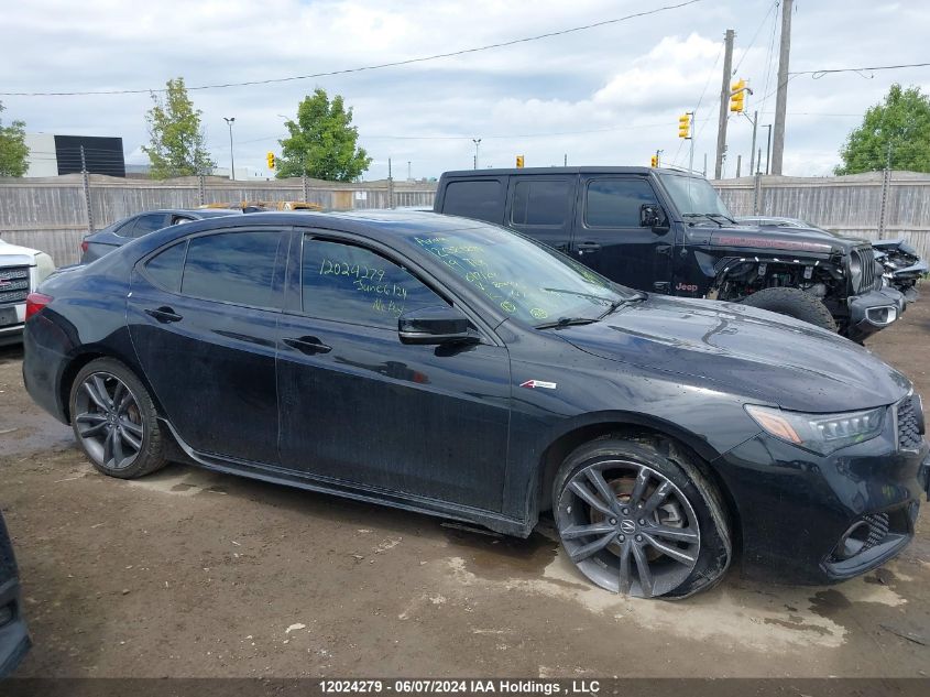 2019 Acura Tlx VIN: 19UUB3F6XKA800473 Lot: 12024279