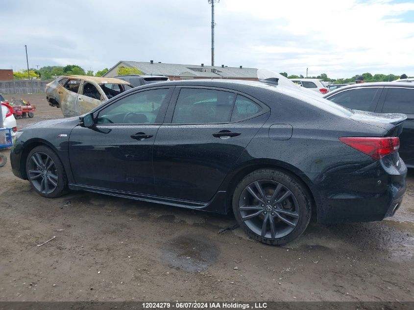 2019 Acura Tlx VIN: 19UUB3F6XKA800473 Lot: 12024279