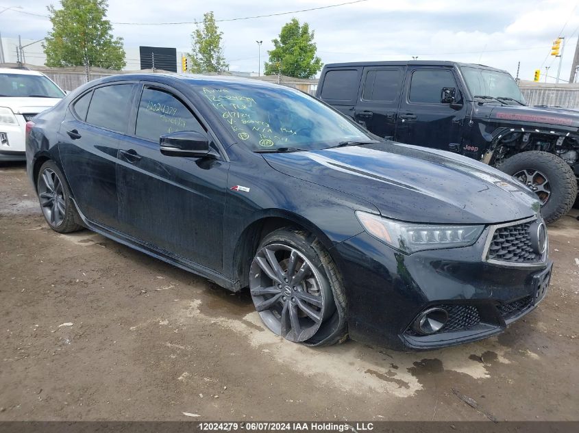 2019 Acura Tlx VIN: 19UUB3F6XKA800473 Lot: 12024279