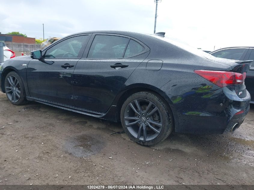 2019 Acura Tlx VIN: 19UUB3F6XKA800473 Lot: 12024279