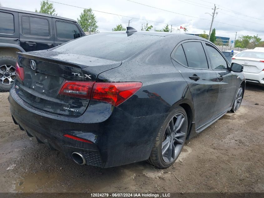 2019 Acura Tlx VIN: 19UUB3F6XKA800473 Lot: 12024279