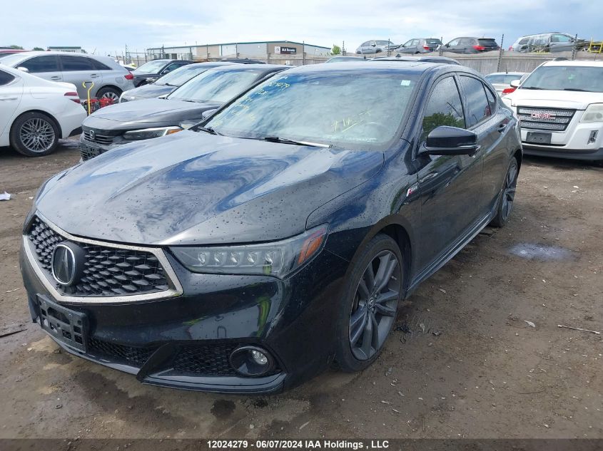 2019 Acura Tlx VIN: 19UUB3F6XKA800473 Lot: 12024279