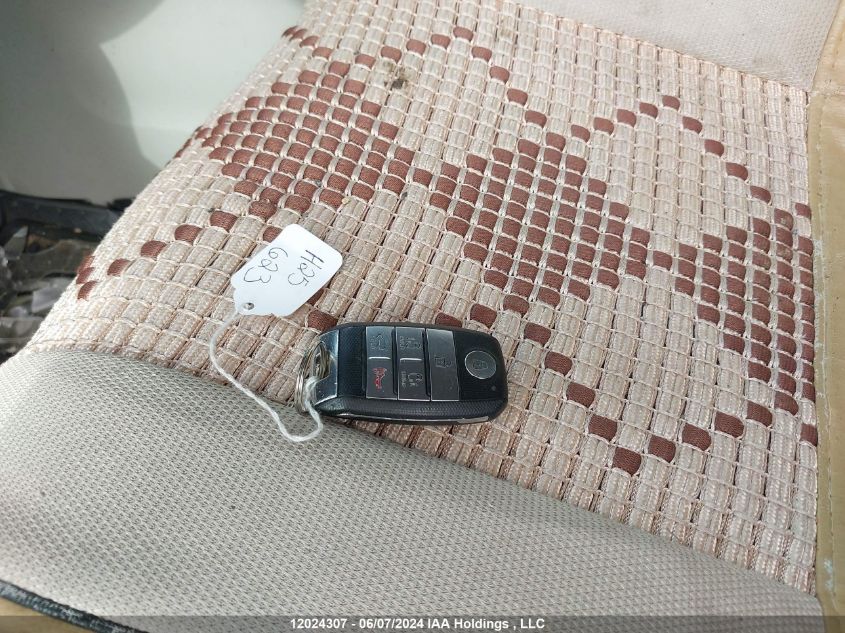 2019 Kia Sedona VIN: KNDMB5C15K6442625 Lot: 12024307