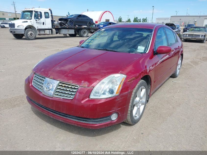 2006 Nissan Maxima 3.5 Se VIN: 1N4BA41E56C861386 Lot: 12024377