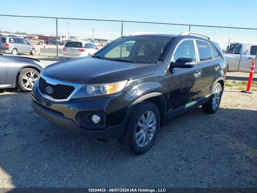 2011 Kia Sorento Ex VIN: 5XYKUDA2XBG070753 Lot: 12024433