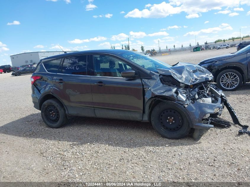 2019 Ford Escape Se VIN: 1FMCU9GD9KUC41156 Lot: 12024441